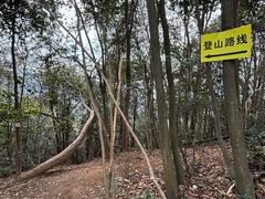 -午潮山国家森林公园