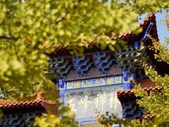 -遵化市禅林寺古银杏风景园