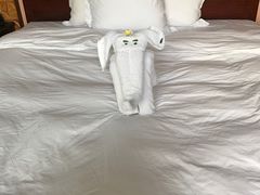 -三亚亚龙湾雅高铂尔曼别墅度假酒店