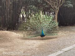 -宁波野生动物园