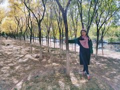 -永定河休闲森林公园