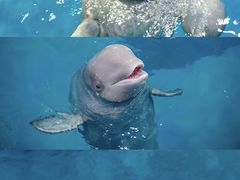 -威海华夏城景区