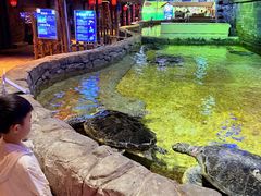 -威海华夏城景区