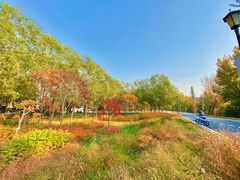 -兴安湖生态运动公园