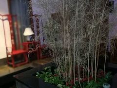 -碧露轩·大益茶体验馆(镇江路店)
