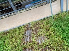 -广东花都香草世界旅游度假区