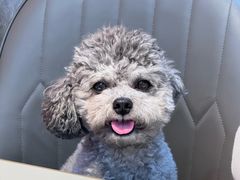 -小胖私厨状元宴·东北私房菜馆