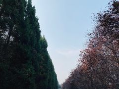-秦始皇帝陵博物院-丽山园
