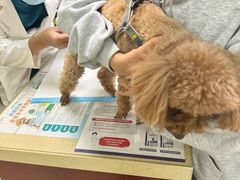 -艾贝尔宠物诊疗