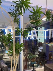 -悦SALON