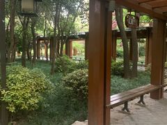 -木塔寺遗址生态公园