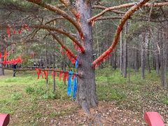 -北极村旅游风景区