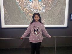 -罗红摄影艺术馆