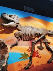 -北京科学中心儿童乐园