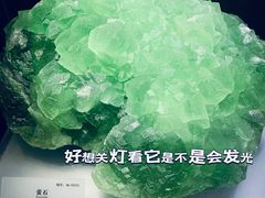 -湖南省地质博物馆