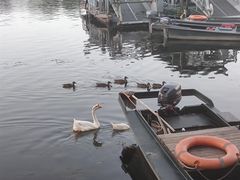 -什刹海