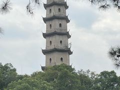 -江心屿景区
