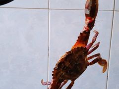 -青岛市本溪路农贸市场