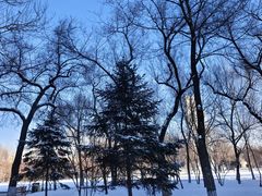 -哈尔滨文化公园