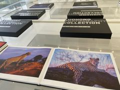 -罗红摄影艺术馆