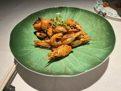 -桂满陇·海市蜃楼·黑金(国金店)