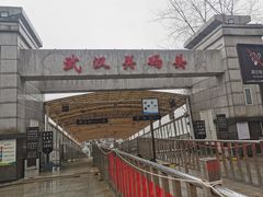 -武汉关码头(轮渡站)