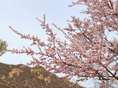 -龙泉峪长城