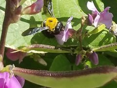 -兴芮温泉度假区