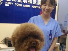-芭比堂动物医院·犬猫全科·异宠专科(雁塔分院)