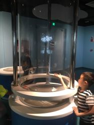 -北京科学中心儿童乐园