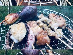 -前小桔亲子创意农场·草莓采摘·露营烧烤