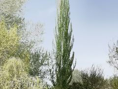 -敦煌石窟文物保护研究陈列中心