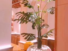 -森Some Fusion(荔湾店)