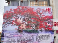 -东坊味道私房菜·地道顺德菜(大良店)