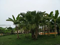 -中国死海旅游度假区