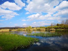 -才村湿地公园