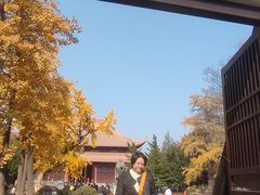 -苏州文庙(姑苏区)