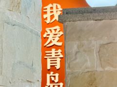 -波螺油子·海肠捞饭·青岛菜(银座店)