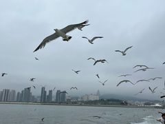 -刘公岛景区