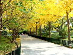 景点-陶然亭公园