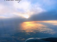 -上海中航虹桥机场泊悦酒店