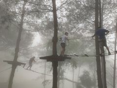 -梦幻奥陶纪景区