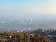 -大金鹰园