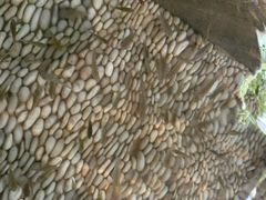 -明谷行馆·温泉