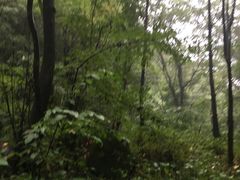 -陕西省红河谷森林公园