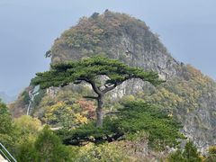 -圣莲山风景区