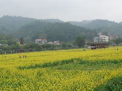 -红山村