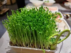 -海底捞火锅(银泰中心店)