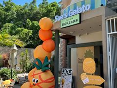 -苏小糖(鼓浪屿三丘田花园店)