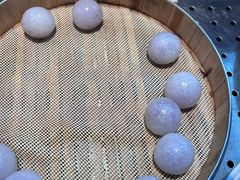 -素心素食(翠苑店)